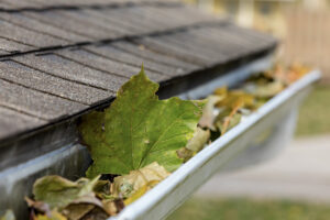 Five Tips for Maintaining Your Roof