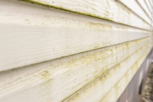 Tips for Cleaning Your Siding