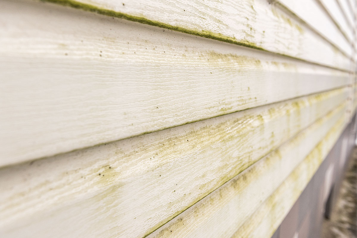 Century Home Improvements Siding Cleaning