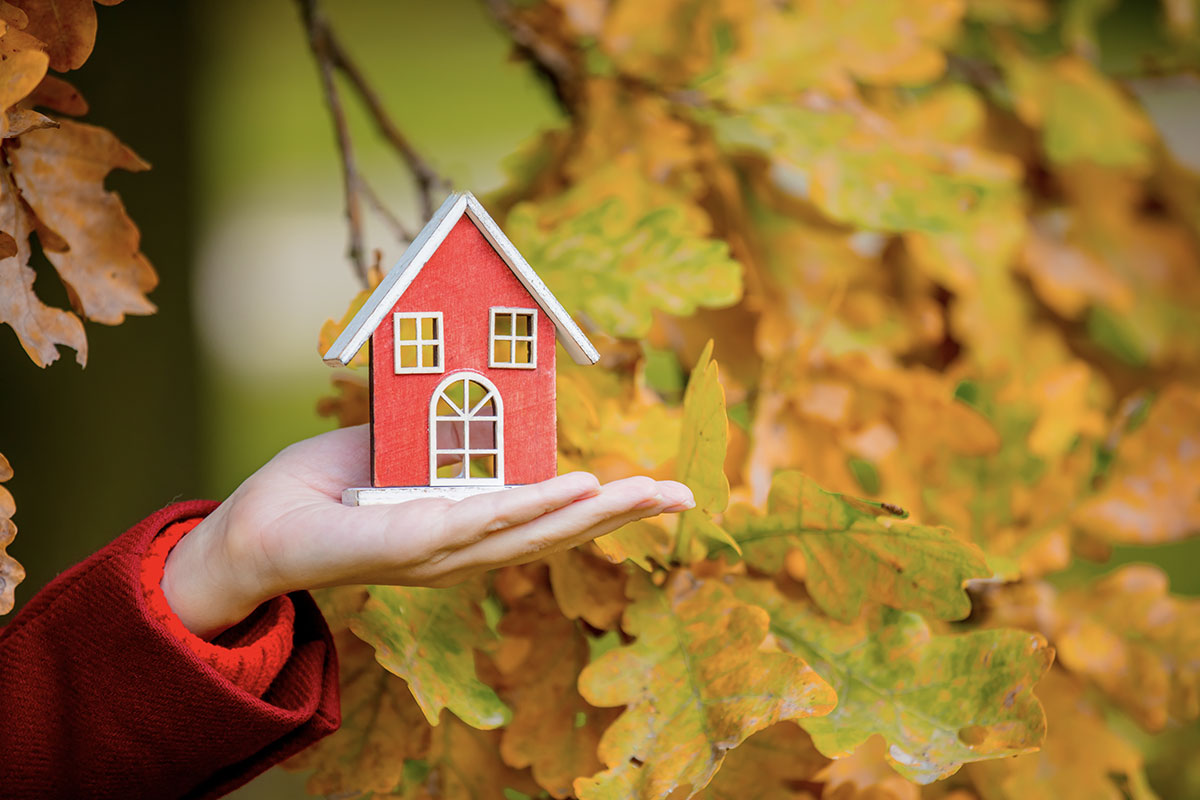 5 Reasons Why Fall is the Best Time to Replace Your Windows and Doors