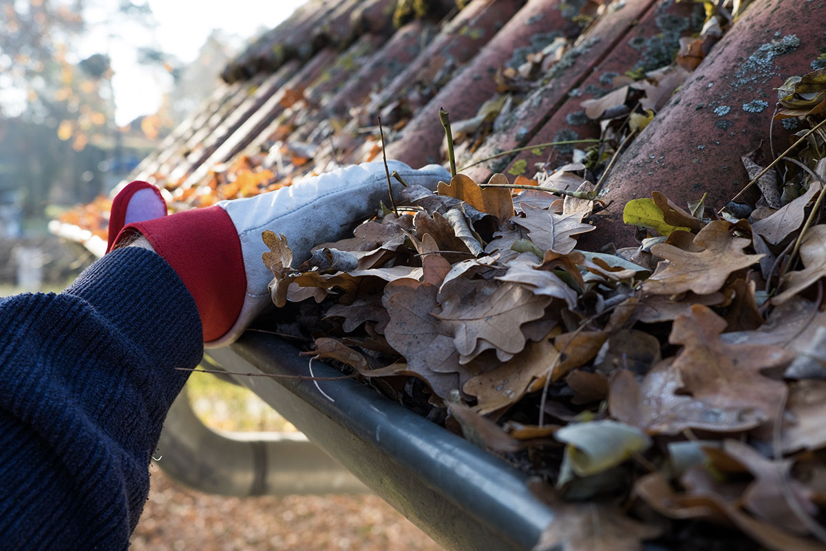 Protecting your house with a Gutter Helmet